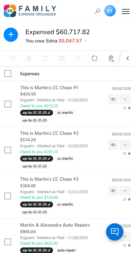 FemExpensor mobile app: expense list with owed amounts and tags